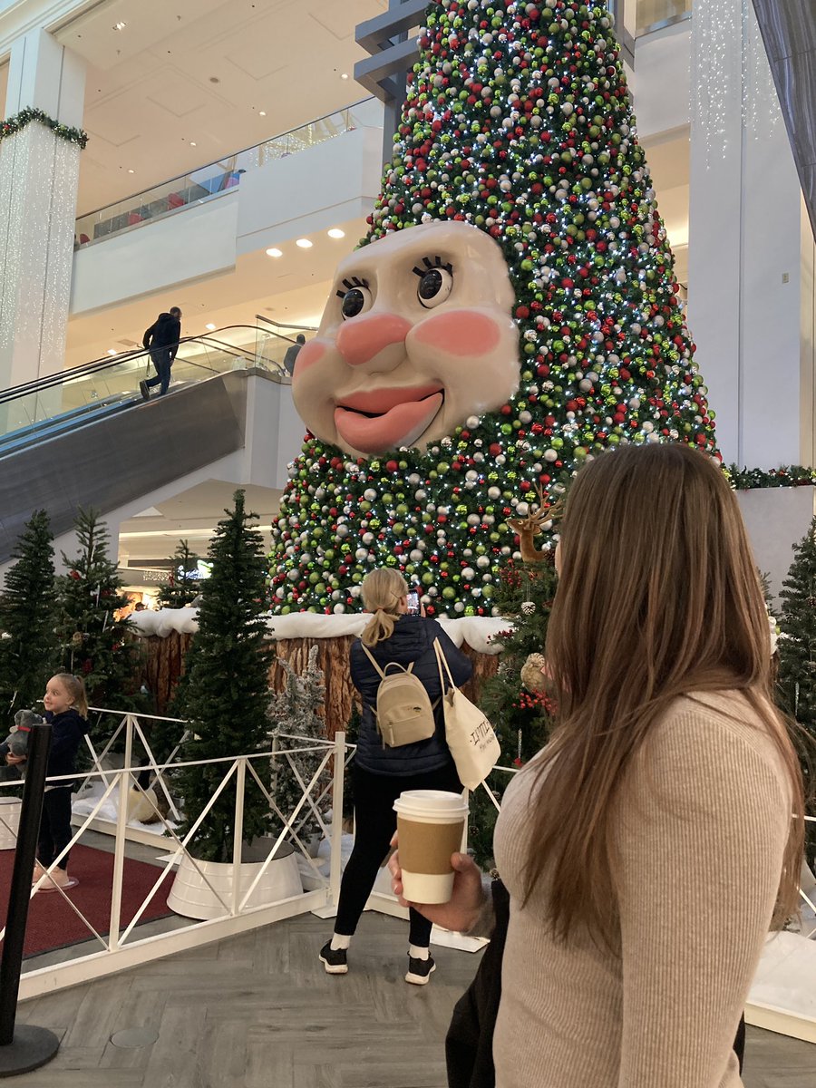 burnsieoriginal's tweet photo. There’s nothing like a Nova Scotian Christmas. Trust me. #MicMacMall #Bluenoserbeauty https://t.co/cCBbg8uJzE