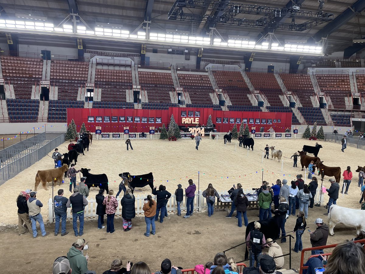 MiloYields's tweet image. 