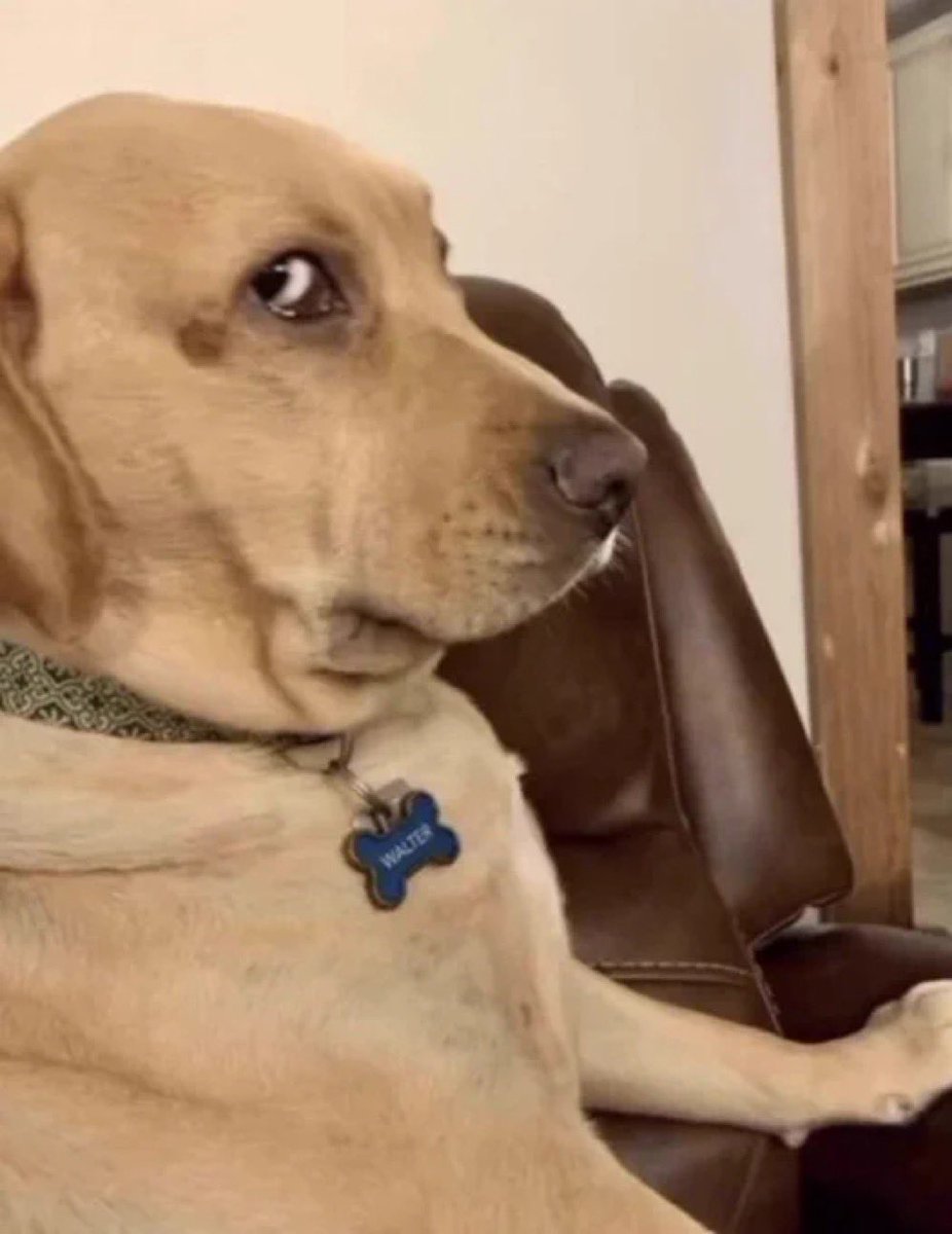 DominantForce64 tweet media