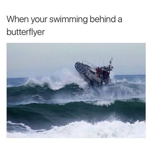 MsSophySticated's tweet image. ♡ #1 COZY STREAM ON TWITCH! [EN/FR] ♡ - twitch.tv/mssophysticated #twitch #stream #gamer #girlgamer #cs2 #cod #warzone #battleroyale #puzzle #tarkov #fortnite #overwatch2 #competitive #party #PartyAnimals #cozy #hype #party #supermarket #pokemon #simulator