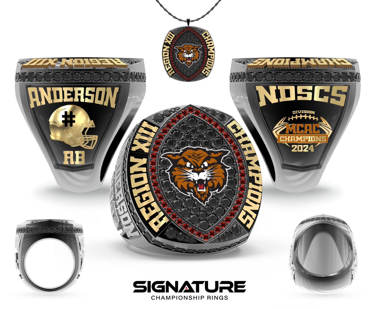 Doing some online shopping…
Who’s Next⁉️
#WinTheDay
@NDSCSFB