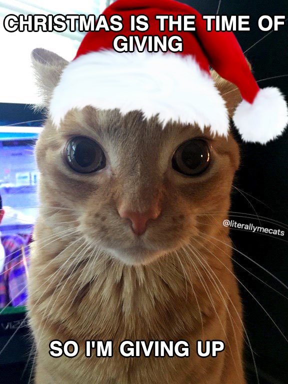literallymecats's tweet photo. https://t.co/mB1j1UTds2