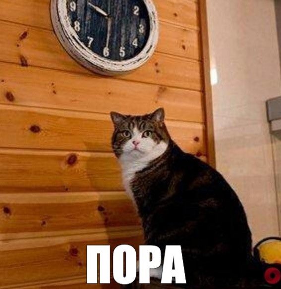 vlad antipenko tweet media