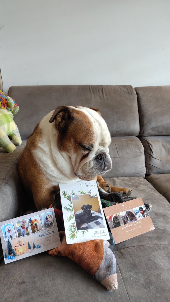 Wir hatten diese Woche Post im Briefkasten! 😍 Danke, <a href="/SiriwhoSiriwho1/">ElliPirelli🐾</a>, @WaellerWilli und <a href="/WL_Anja/">BerryBear mit Frauchen </a>  

Wir haben uns sehr gefreut. (Ich war nach dem Gassi nur müde. Aber innerlich habe ich mich gefreut!)