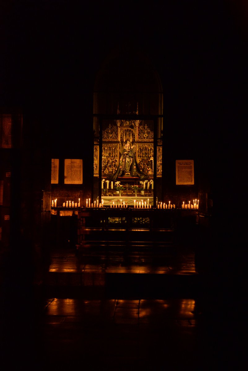 Miriam Terruzzi tweet media