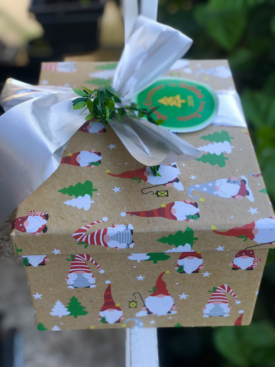 SubhaDas1981's tweet photo. Thanks Santa for this amazing survival kit! Merry Christmas 🎄 🎅🏻 #Christmas2024 https://t.co/W2bKhMAayP