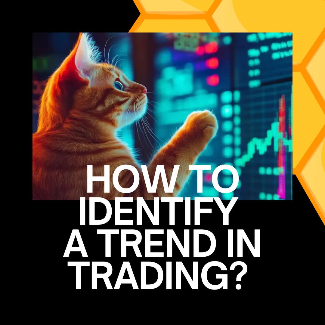 MeM_GeM_CaLLs's tweet photo. How to Identify a Trend in Trading? 🔥

In trading, recognizing trends is key to making informed decisions. Here are a few basic steps to help you determine market direction:

Trendlines: Draw a line connecting the lows in an uptrend or the highs in a downtrend. This will give you a sense of direction.
Moving Averages (MA): If the price is above a long-term moving average, the market is in an uptrend. If it’s below, it’s in a downtrend.
Volume Analysis: Increasing volume during an uptrend confirms its strength, while decreasing volume may signal a potential reversal.
Candlestick Patterns: Resistance and support levels provide insight into where the market might be headed.

⚠️ We don’t offer financial advice, but we share the basics to help you better understand the market. Act wisely, always do your own research (DYOR), and assess your risks.

Go to the bot and activate your free 1 hour now! 🚀

Invite your friends and earn a 40% referral bonus. The offer is valid until December 31, 2024. Don’t miss out! 💎