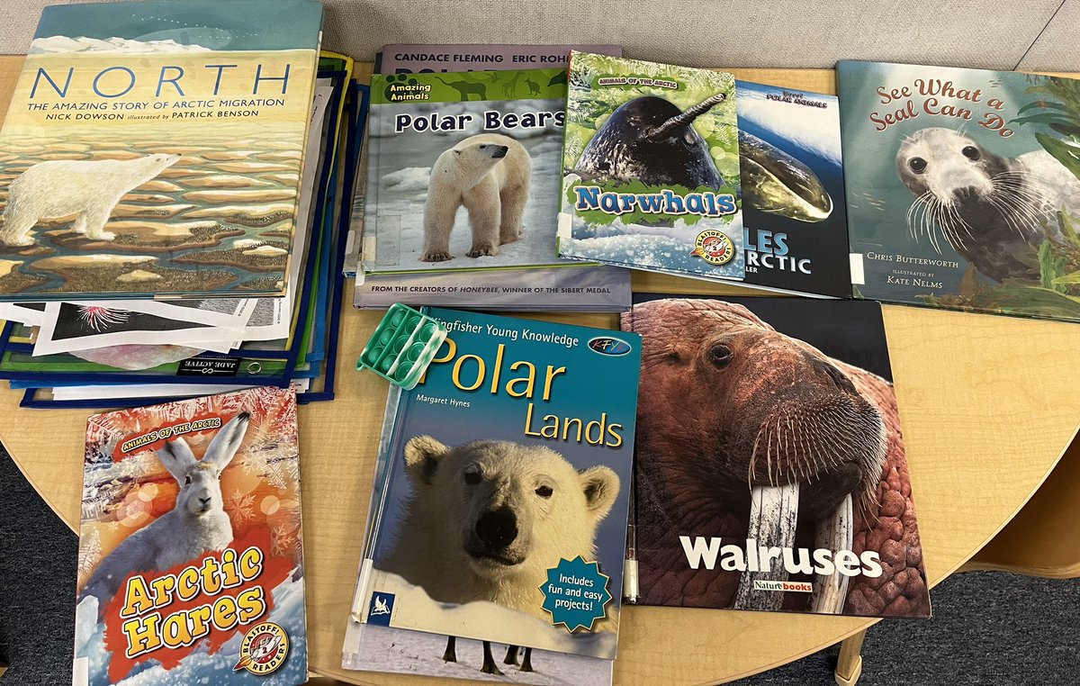 DoraBechtel1's tweet image. Loved walking into our 3yr old preschool class + seeing their inquiry into the Arctic. #IBPYP UOI: Where We Are in Place and Time @StartSOLE  #PrincipalLife ❄️🐻‍❄️