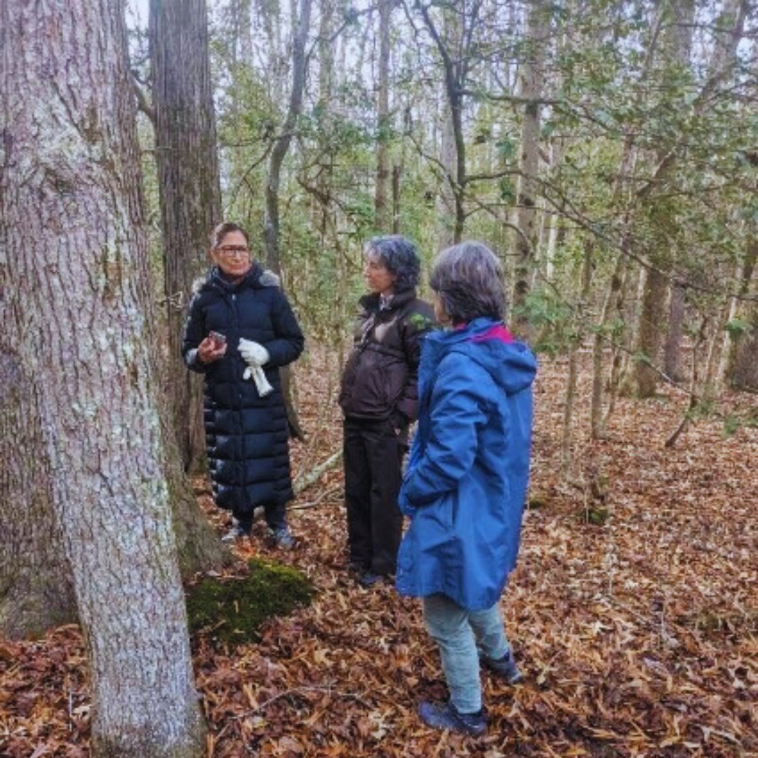 Nature_DCMD's tweet photo. 🌳 Exciting news! TNC’s Maryland/DC Chapter donated 31 acres near Nanjemoy, MD, to @USFWS, creating the Southern Maryland Woodlands National Wildlife Refuge, the 573rd unit of the NWR System! 🦇 This is the first of several donations that will protect over 300 acres of habitat. https://t.co/DUoeL79RUn