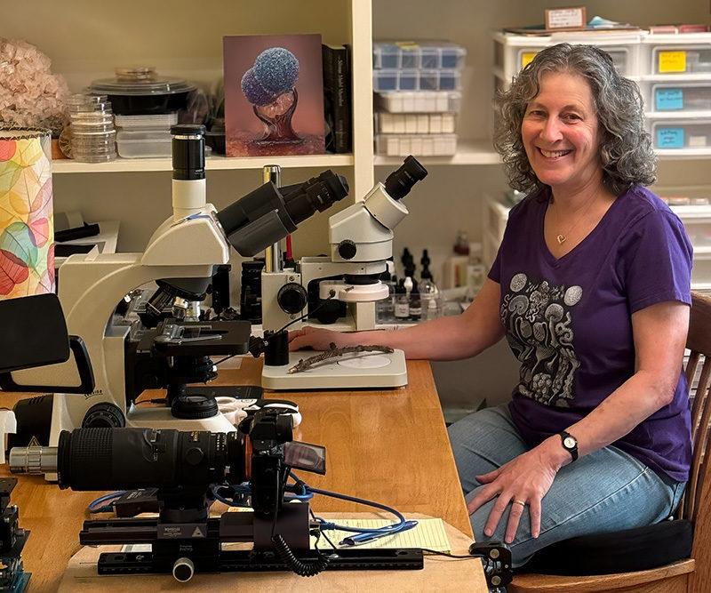 NikonInst's tweet image. New #NikonSmallWorld #MastersofMicroscopy article features Alison Pollack, who's love for science and nature spurred a fascination with fungal photography. She's placed 4 images in the top 20 since first entering in 2021.

Click to see the article: bit.ly/3DaDyQS