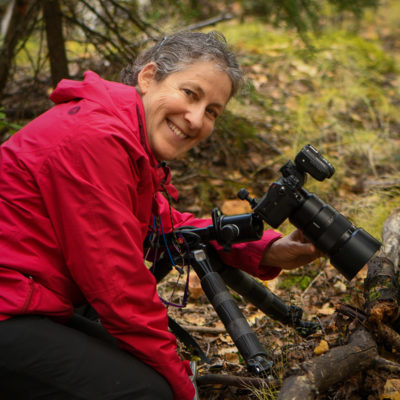 NikonInst's tweet image. New #NikonSmallWorld #MastersofMicroscopy article features Alison Pollack, who's love for science and nature spurred a fascination with fungal photography. She's placed 4 images in the top 20 since first entering in 2021.

Click to see the article: bit.ly/3DaDyQS