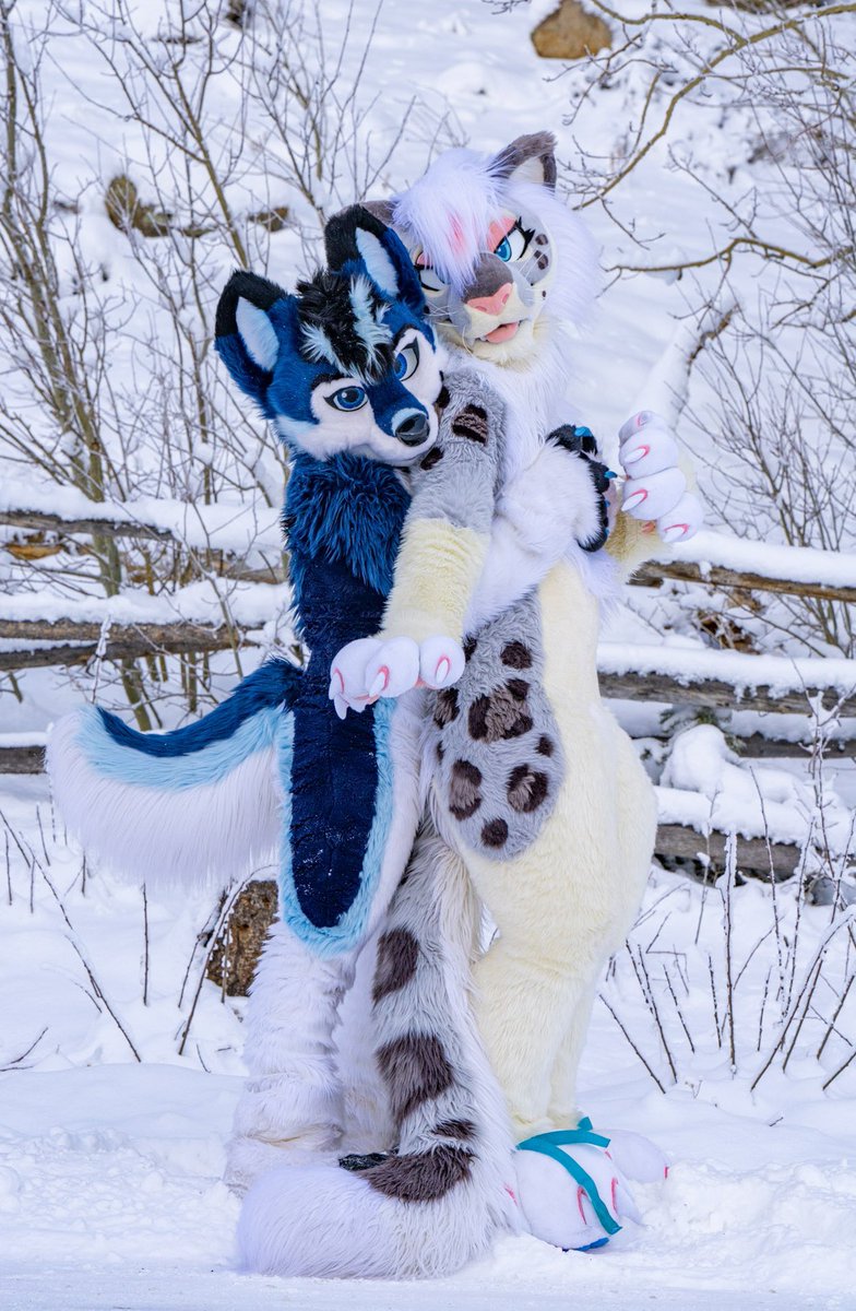 TEA-kai-LAA ๐ @LVFC (@thatkrazyk9) on Twitter photo I found this pretty kitty in the mountains! โ๏ธ๐
๐ธ: <a href="/KooperShiba/">๐๐๐๐๐๐ ๐</a> I found this pretty kitty in the mountains! โ๏ธ๐
๐ธ: <a href="/KooperShiba/">๐๐๐๐๐๐ ๐</a>