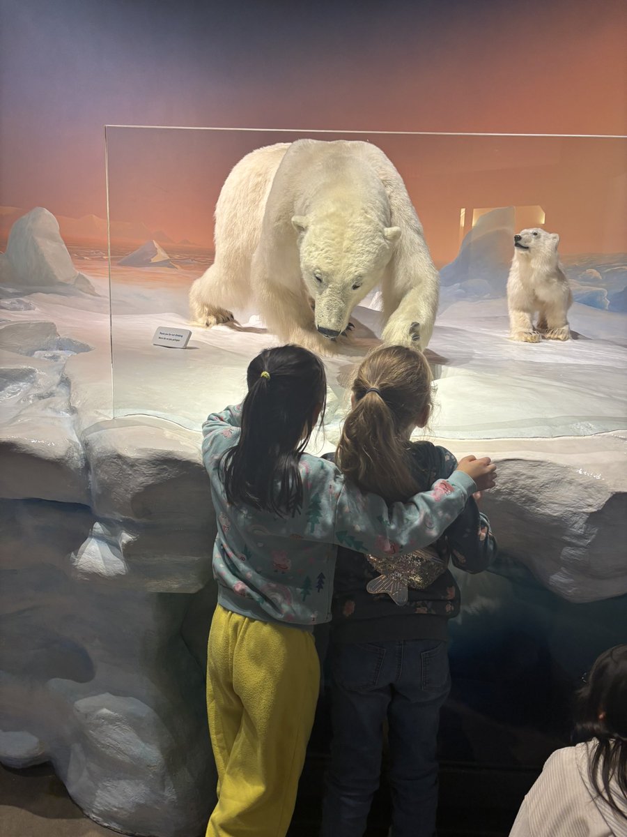 Katie Hickman (she/her) (@miss_k_hickman) on Twitter photo We had so much fun at the <a href="/MuseumofNature/">Museum of Nature</a> today!!! Highlights included the Discovery Tank and the Butterfly Exhibit! <a href="/StLukeNepean/">St. Luke School (Nepean)</a> We had so much fun at the <a href="/MuseumofNature/">Museum of Nature</a> today!!! Highlights included the Discovery Tank and the Butterfly Exhibit! <a href="/StLukeNepean/">St. Luke School (Nepean)</a>