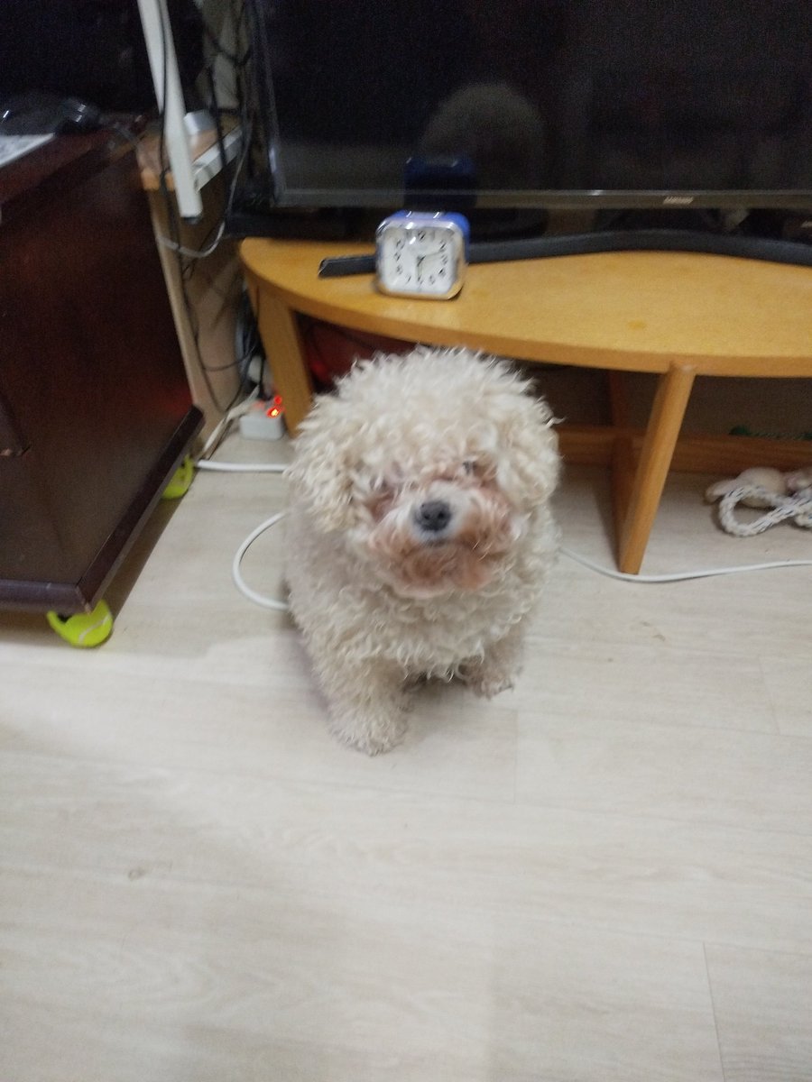 hhp196982's tweet photo. 미모는 나의 무기^^ https://t.co/V7lAUDod6k