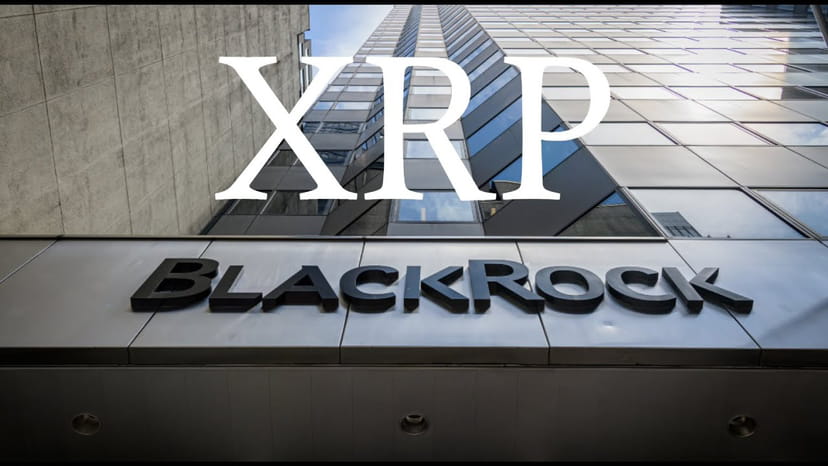 RippleXrpie's tweet photo. 🚨RUMORS: BlackRock is planning to file for an #XRP ETF application! https://t.co/Z7ApvZRNG1