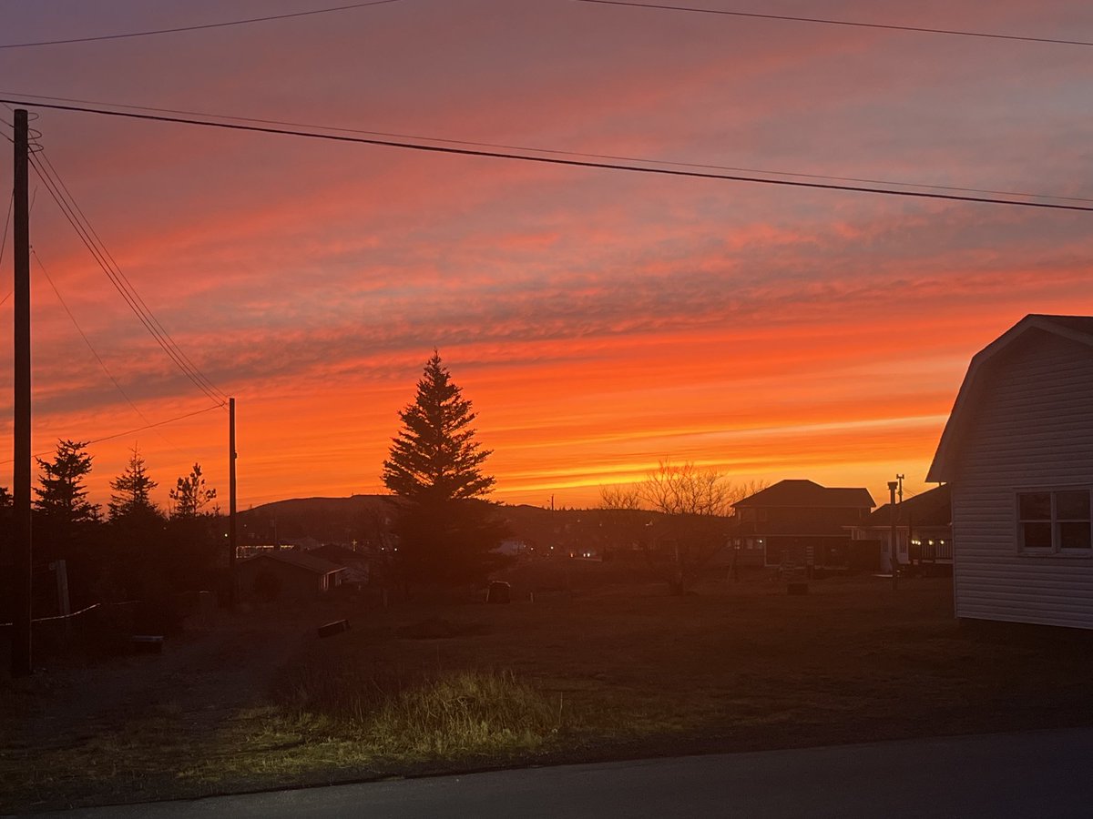 ⁦<a href="/UpperIslandCove/">Upper Island Cove</a>⁩ ⁦<a href="/EddieSheerr/">Eddie Sheerr</a>⁩.