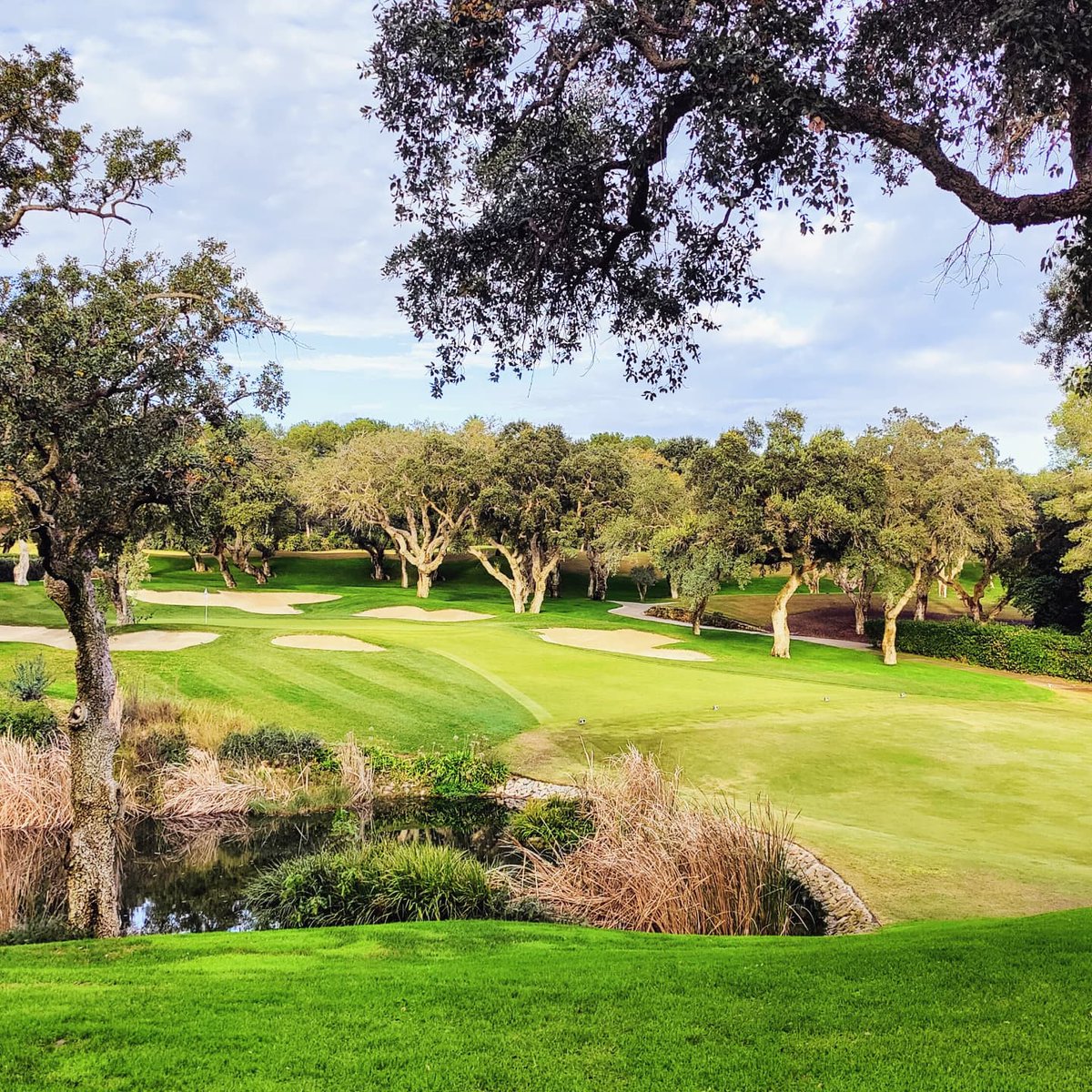PrivateCaddie's tweet photo. Good to be back at Valderrama Golf Club for some exclusive winter golf! ⛳ 🇪🇸 👌 😍
#Golf #Concierge #Experiences #Europe https://t.co/NVKYkuqJyu