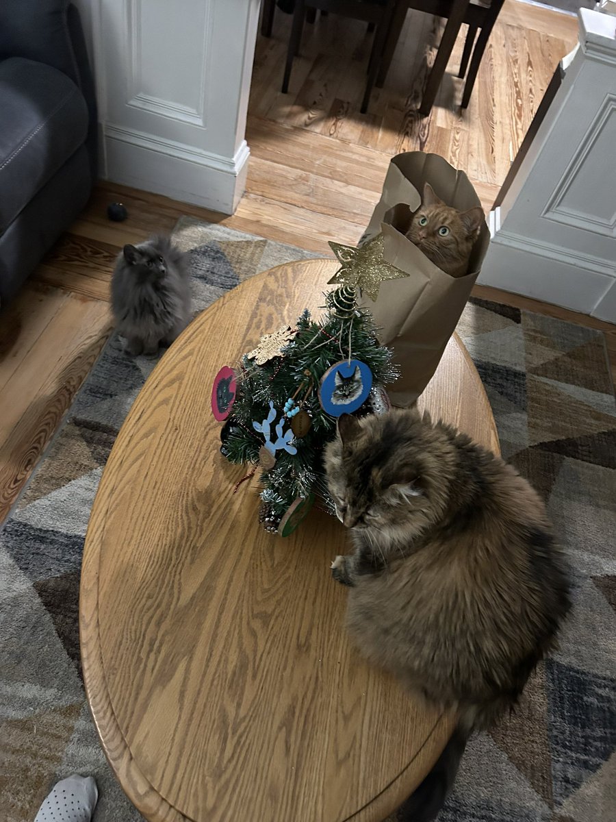 I’ve had the same baby Christmas tree aka “Piney” since my college dorm room days and the girls love helping decorate it. Sansa especially loved the Dollar Tree bag that held the ornaments 😹