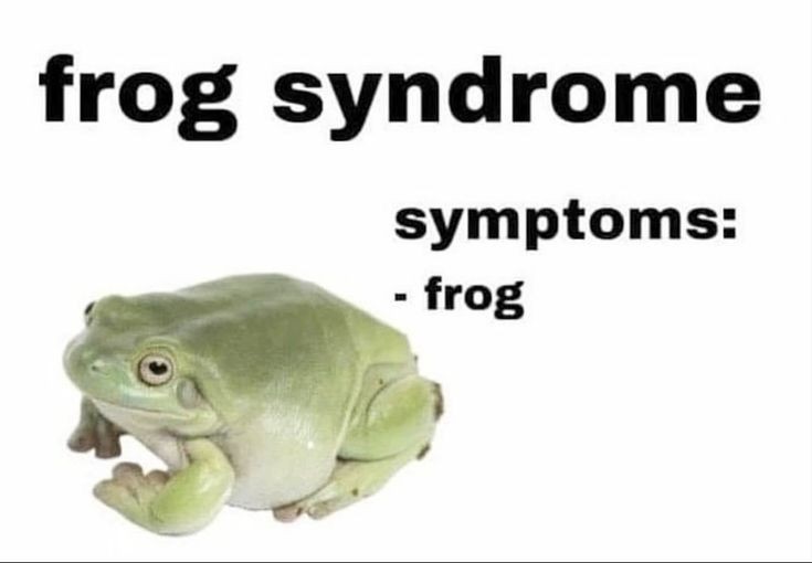 nocontextfrogs's tweet photo. https://t.co/Ia5iTgTxoy