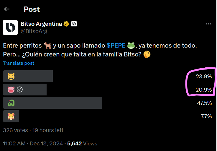 GuillermoDiazGr's tweet photo. 🔥 In less than an hour, we’re on the verge of surpassing @MOG in the @BitsoArg poll! 🚀 By this time tomorrow, there’s no doubt—we’ll put $PORK at the #1 spot where it belongs. Let’s make history together. 🐷👑 #VotePORK #CryptoCommunity https://t.co/6bBSRQunqo