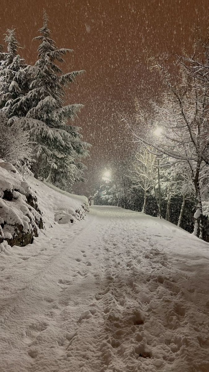 elemmiressoul's tweet photo. snow silence. https://t.co/Y8GG6nALkC