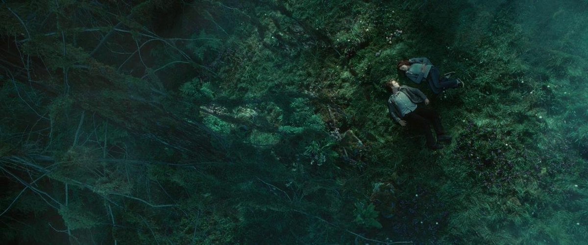 TheCinesthetic's tweet photo. Twilight (2008) dir. Catherine Hardwicke https://t.co/RxjJKklImz