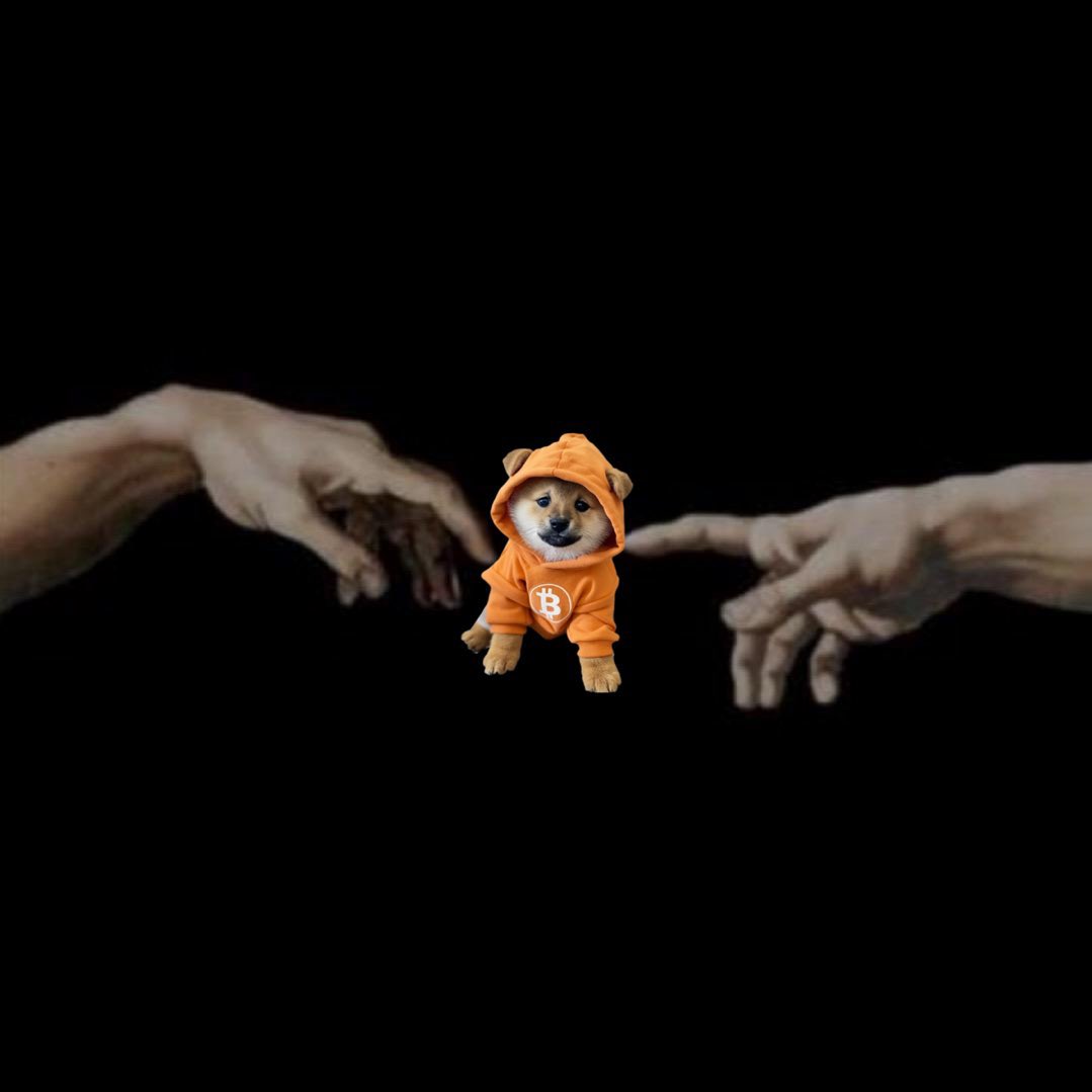 AndrewS18356528's tweet photo. $BTC #BITCOIN was created to rid the world of the #corrupt #banking #system.
$DOG was created to rid the world of #Ruggable #Crypto and expose #Corruption in #Exchanges.
#DOG is the fair movement and the people’s $BITCOIN https://t.co/WPddhS6vYH