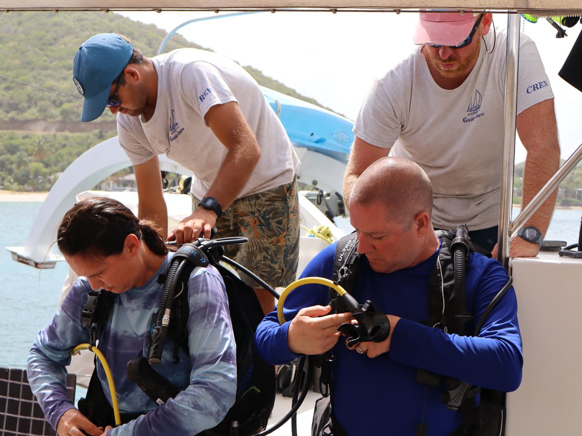We make sure our guests are all set to dive into their next big adventure—literally! Whether you’re ready to jump in or sail away, your journey starts here. 🐠🌴

Learn more about our scuba rental equipment and prices at bvisailing.com/bvi-scuba-divi…