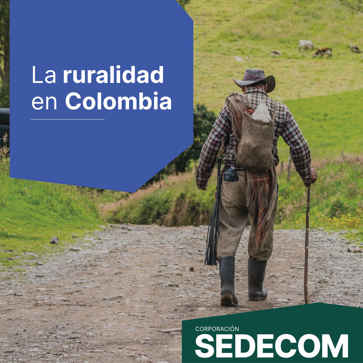 Sedecom's tweet photo. 🌾 La ruralidad es un motor de desarrollo económico que impulsa a las familias, a los territorios y a nuestro país. 

¡Nos transformamos para transformar! 💪✨ #DesarrolloRural #SEDECOM #Transformación https://t.co/t1tFmbwxy9