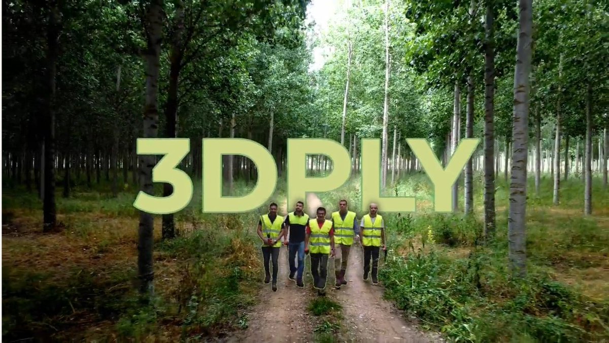 floralvareztab1's tweet image. Hoy hemos recogido en #leonesp el premio de la convocatoria ULE-PoC del plan #TCUE 2024 de Jcyl

📍Han premiado  #3DPLY (3D Populus, Laser &amp;amp; Yield): una aplicación web para la cubicación inteligente de especies forestales de alto valor comercial, desarollada con @garnicaplywood