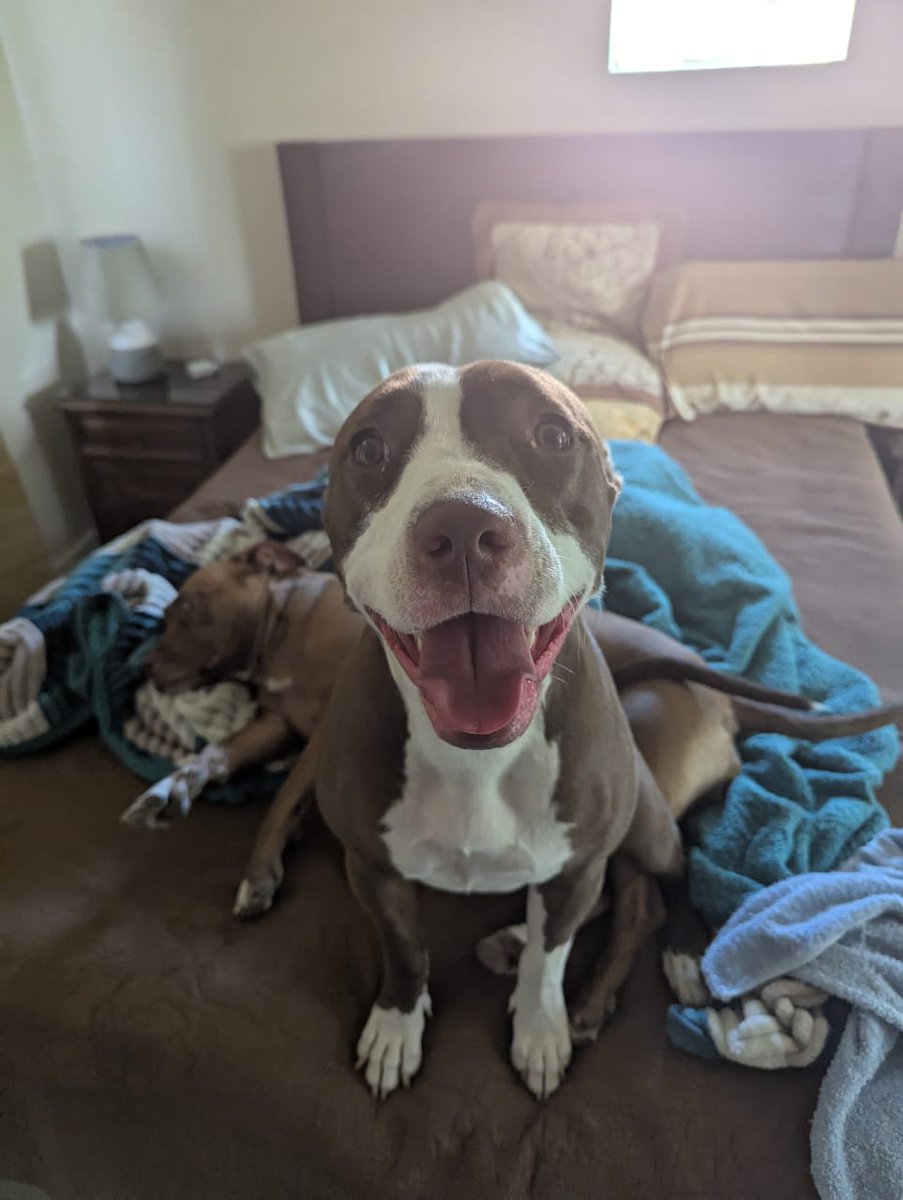 CMPF (@jimmylupc) on Twitter photo 