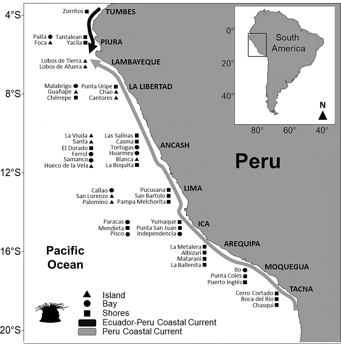 Víctor Aramayo tweet media