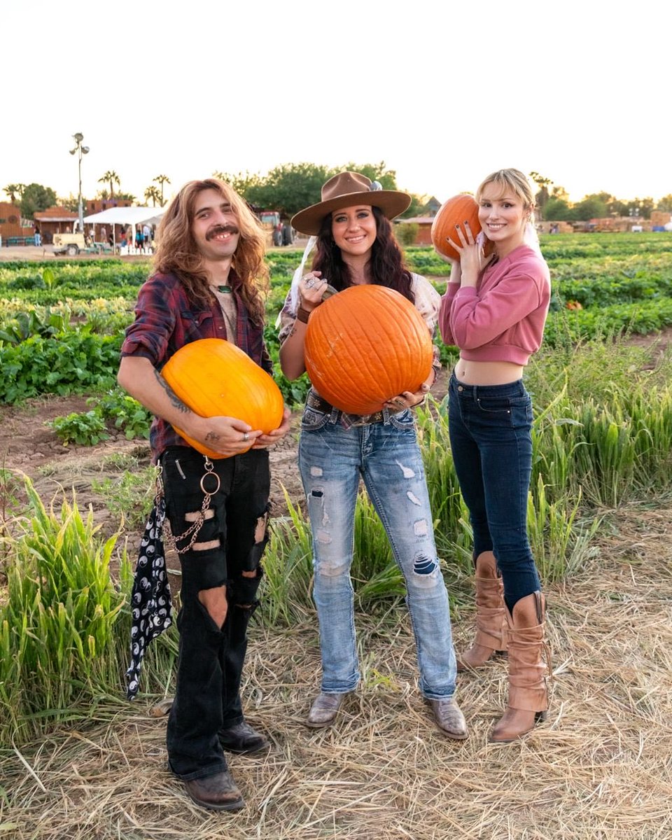 RuthHarris949's tweet photo. Halloween https://t.co/qqeyAx0cvZ
