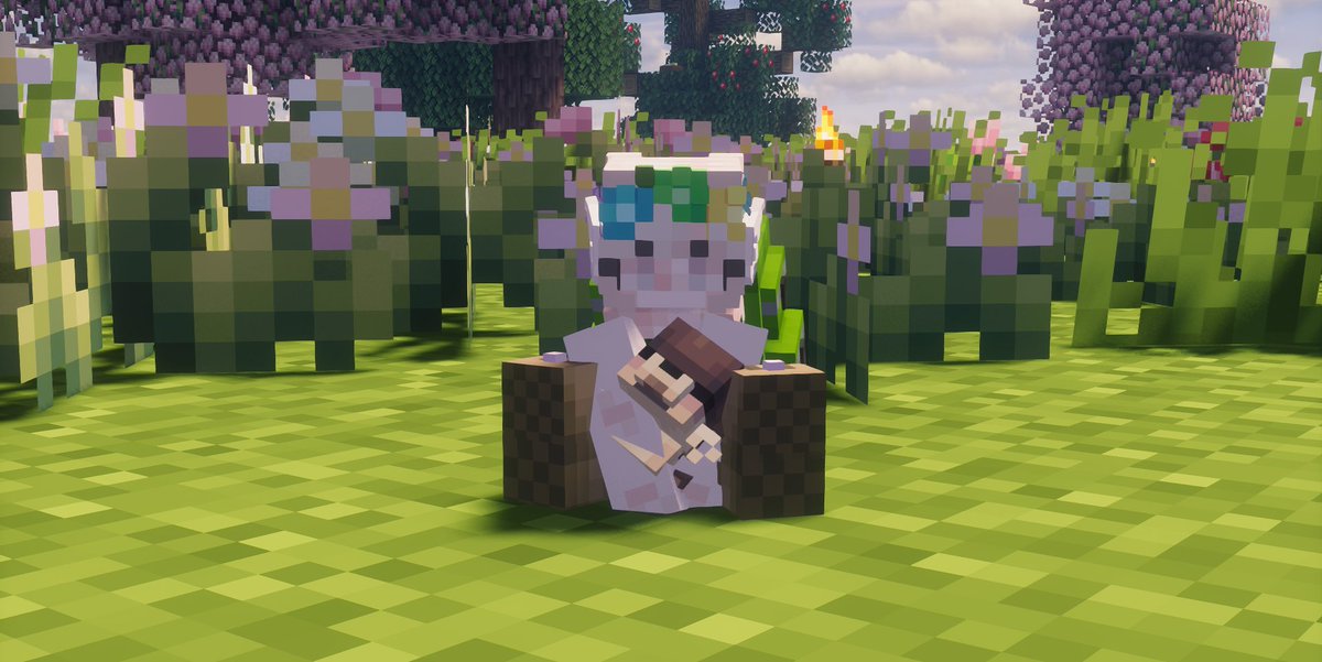 otters #provenancemc