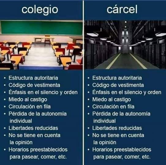 MEMO SALINAS tweet media