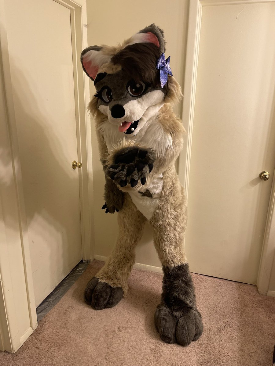 FurToDaye's tweet photo. Happy fursuit Friday everyone!!! Partial suit c0mm link in bio! Full suit c0mm coming soon!!! https://t.co/DQ2FAneVSX