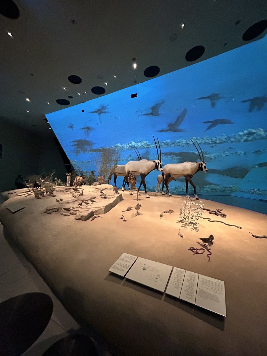 AsawariBapat's tweet photo. Great ambience and informative #Qatar #Museum #Arab #history #legacy with @bales_cabales @AABB #Qatardiaries #AsaTweets https://t.co/X9eI5sAw7x