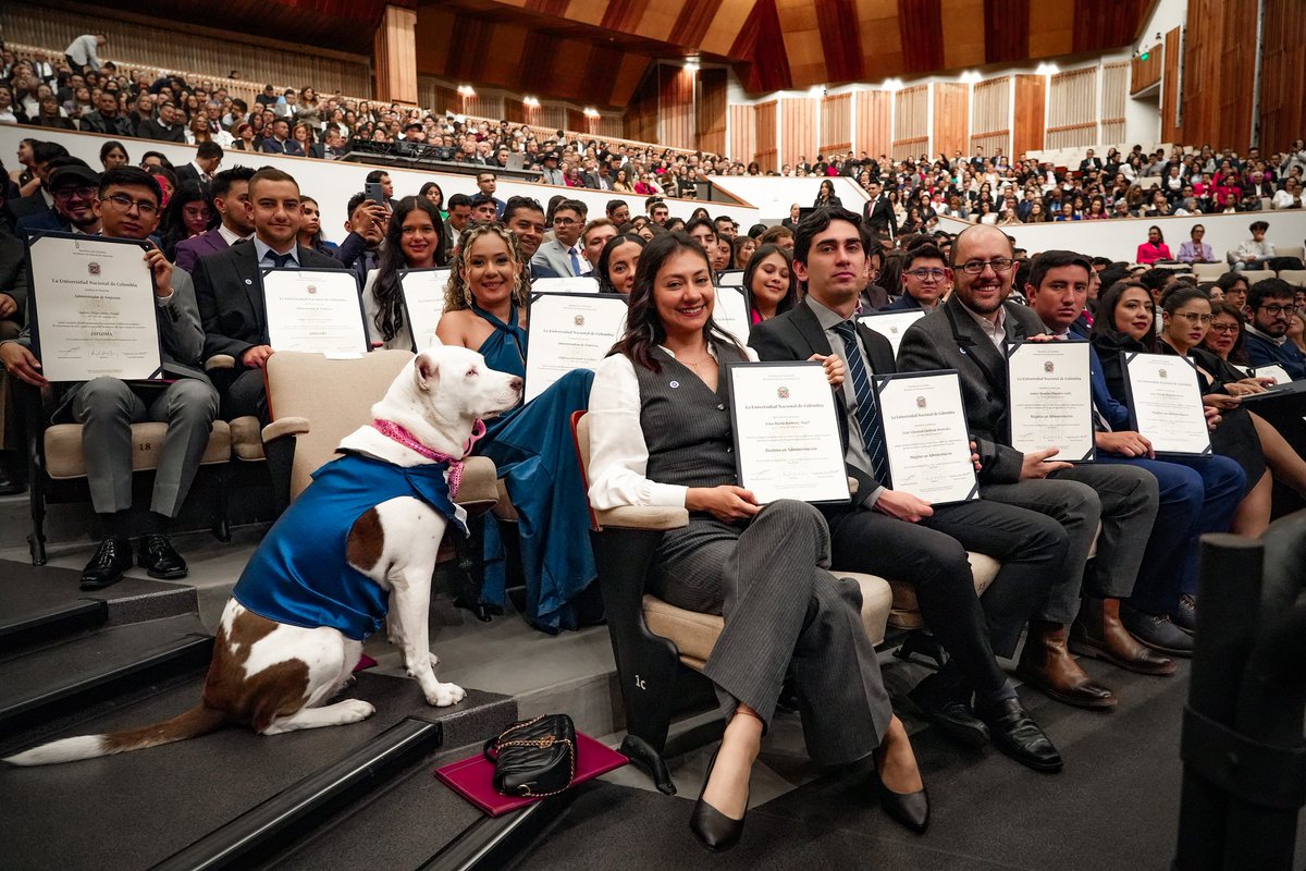 fceunal's tweet photo. 🎓#OrgulloFCE Hoy 13 de diciembre se llevó a cabo la tercera Ceremonia de Grados del año 2024 🇨🇴
🌎 Este es solo el inicio de un camino de éxito y compromiso social llevando en alto el nombre de la FCE y de la UNAL ❤️
#SomosFCE #Unal #FCEUNAL https://t.co/JfPqnKincA