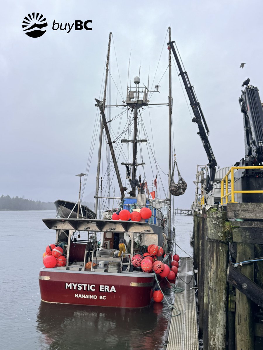Our boats are offloading the last of the season’s wild Pacific halibut! As the season officially wrapped up on December 7th, our hardworking crews have made their way back home, bringing the freshest, premium-quality wild Pacific halibut. Make sure to stock up before it is too