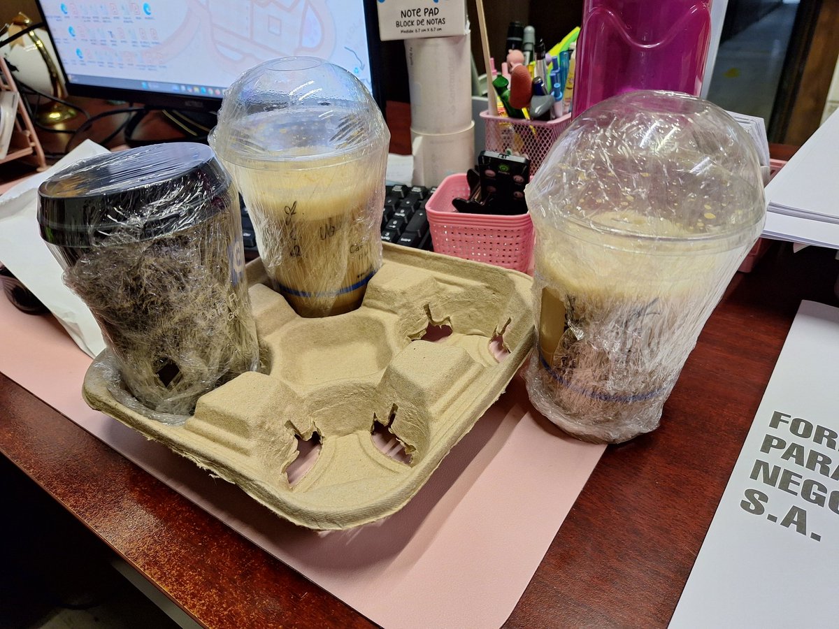 MiitzyLu's tweet photo. @Uber_MEX no se si esta cuenta aplique para el Eats pero que pésimo servicio! 2 horas esperando un café para que llegue así!!!! No vuelvo a pedir ni en Café punta del cielo!!! Asco pagar por esto!! @DiDi_Mexico perdón por no pedir contigo! He  intentar probar Uber! https://t.co/53LppgYGqX