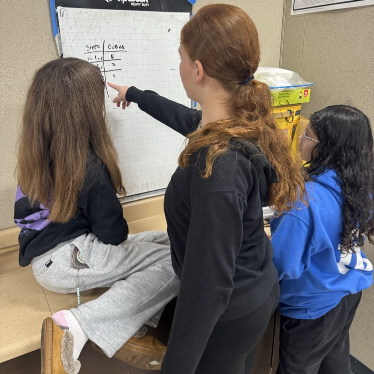 EHMSBobcats's tweet photo. Students in Mrs. Narez's class practice math on their Wipebooks! #buildingthinking #ehmsbobcats https://t.co/iaPeSbFN7P