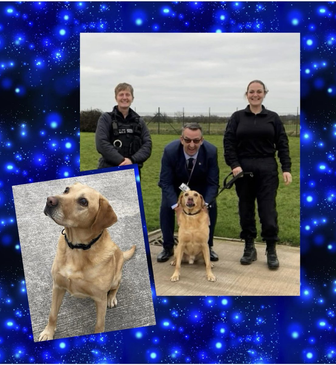 The_NFRSA's tweet photo. A few weeks ago, Lady B had the privilege of addressing the general meeting of the @AssocPCCs in London.

She explained police dogs on retirement do not receive any formal financial support, and that affordable insurance is a challenge to find.

She asked for their support and to remember their local retired police dog charities, as well as the NFRSA where there is no local support, and perhaps consider making a donation.

We’re delighted to say we have heard today that the PCC for North Wales has made a £2,000 donation to @Paws_Off_Duty who look after retired police dogs from @NWPolice.

We couldn’t be happier to have facilitated this generosity in support of our colleagues. 

Thank you to @acdunbobbin for his kindness. 

@AssociationRPDs 

Working together is so important. It’s all about retired service animals - nothing else. 

💜🐾🐴🐾💜