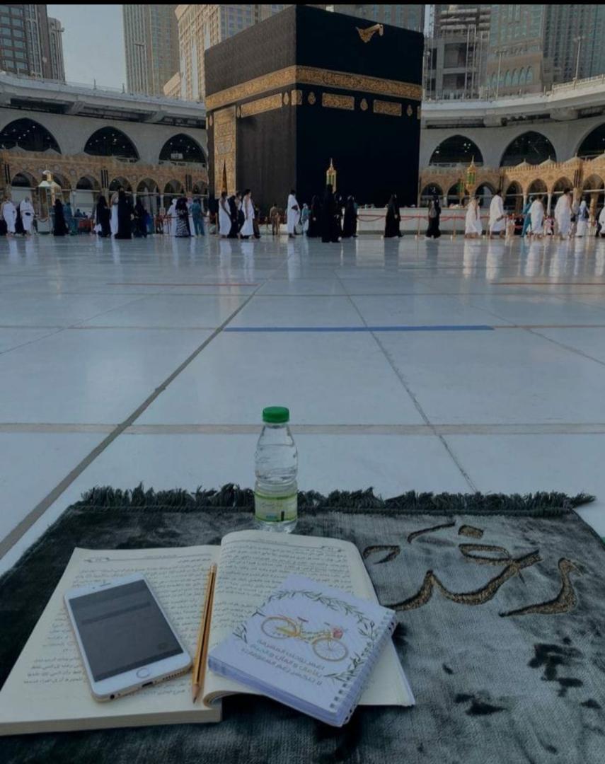 *"أنْ تَنـعـم قُـلـوبـنـا بِجلـسـة هُـنـا بِـرفـقـة مَـن نُحـب🤍ᥫ᭡*

*مِـن النَّعـيـم الـمُعجّـل فـي الـدُّنـيـا🤍𓋜".*