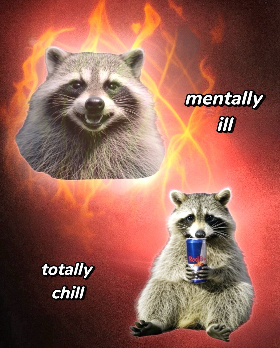 raccoon aesthetic. tweet media