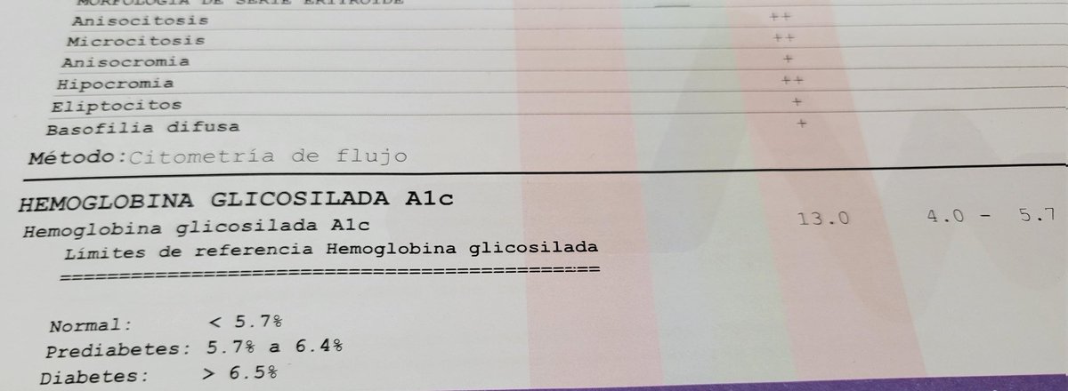 Chus Rebollo tweet media
