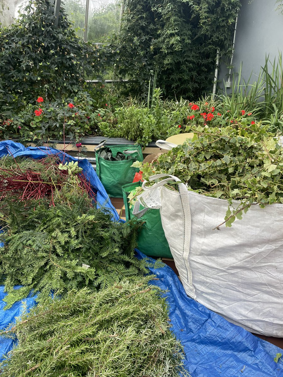 SaughtonFriends's tweet photo. Hope you are all set for tomorrow’s wreath making event from 10am till 1pm.  It’s been a terrible holly year so bring your favourite baubles or adornments to make your wreath shine and secateurs if you have them.  Looking forward to seeing you. https://t.co/ZSw07JvmL0