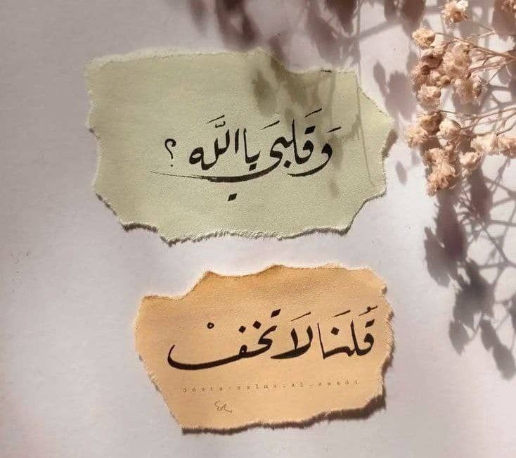 *أدعــوكَ رَبــي وقلبــي مُوقــن أن الدُعــاء يُغيـر الأحـوال لمـا عرفتـك قد نجـوتُ بسَجـدة وأنـا الـذي ظَـن النجــاة مُحــالاً 💎🤍|✓*