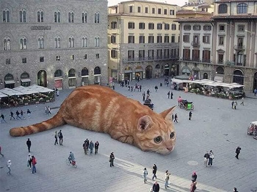 PunchingCat's tweet photo. if the world was invaded by giant cats

a thread: https://t.co/edOlu9dFcE