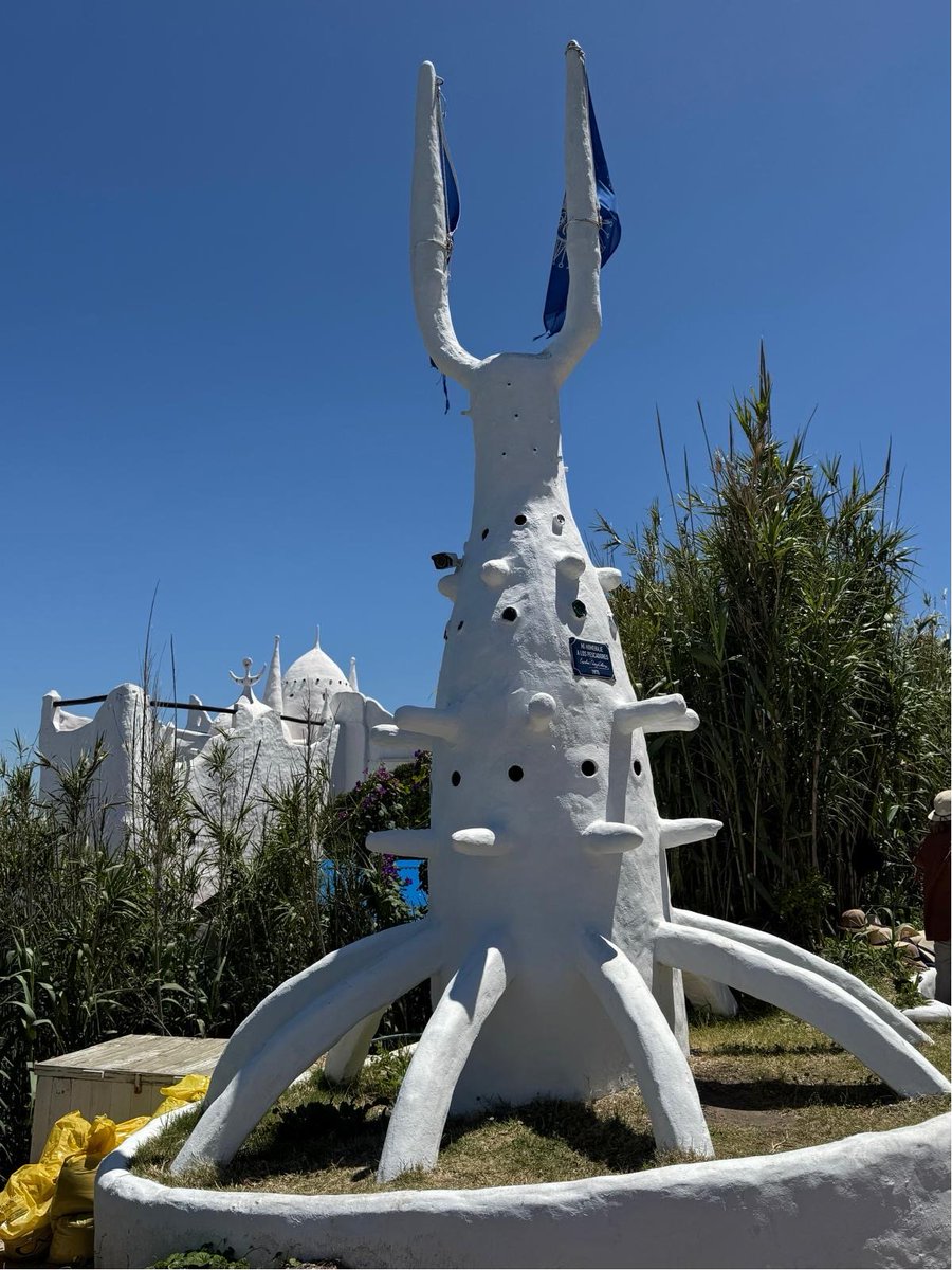 Carlo Di Lorenzo tweet media