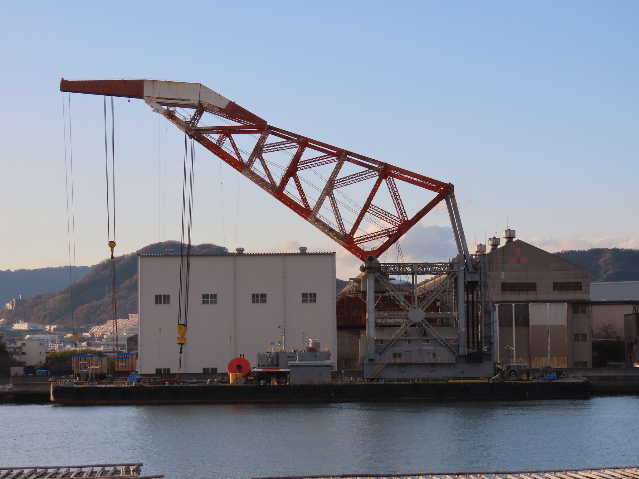 魚交（さめ） on X: 